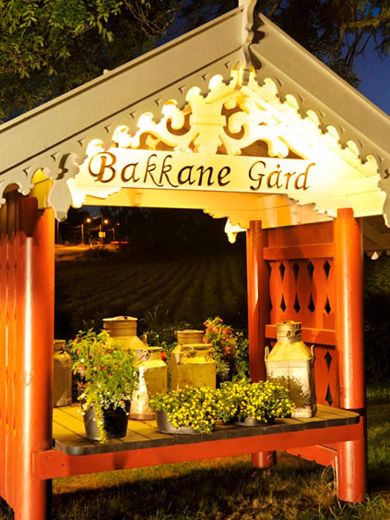 bakkane-gaard.skilt Leilighet til leie med rød sofa