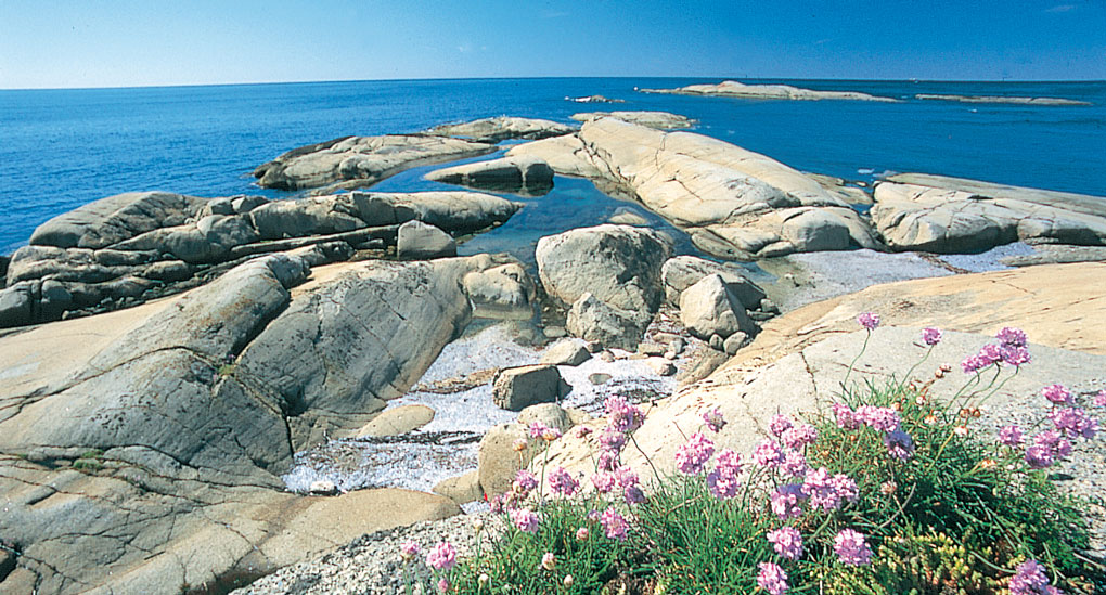 Nærområdet 6 Kyststien Larvik