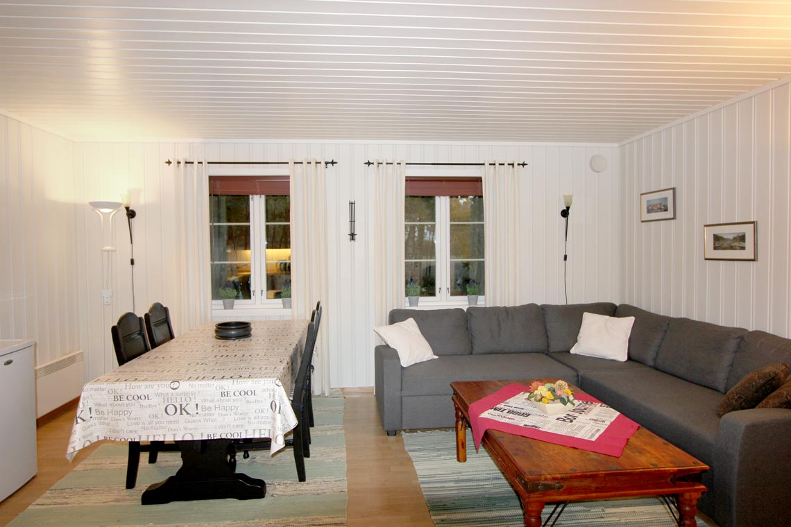 Leilighetene 3 Leilighet til leie i Larvik på Bakkane gård - stue